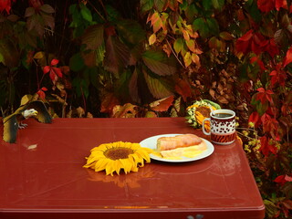 French self-made Croque Monsieur sandwich with ham and cheese al fresco on garden table in autumn