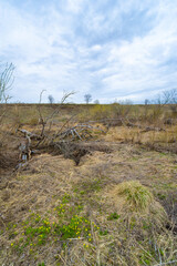 Hidden in the endless fields lies an enchanting oasis where reflection meets the wild and the...