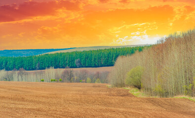 Immerse yourself in the tranquility of rural life. Watch as nature blends gracefully with the...