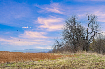 A symphony of colors unfolds as the sun bids farewell to the day, casting golden light on the plowed field. Enjoy the breathtaking view of nature's canvas at sunset creating a picturesque backdrop