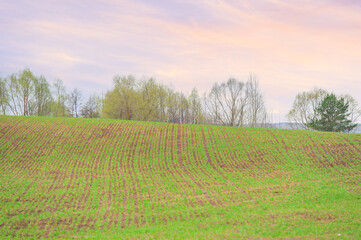 Witness the beauty of nature's works at sunset. Enjoy the captivating colors of the sky at sunset. Immerse yourself in the picturesque landscapes of a golden-lit plowed field.