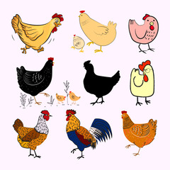 Set of chicken, hen, rooster character hand drawn poultry farm animal collection vector illustration.