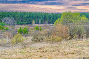 Witness the beauty of nature's works at sunset. Enjoy the serene and awe-inspiring view of the golden-lit plowed field. Capture a picturesque colorful backdrop as the sun bids farewell to the day.