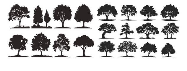 Big collection Tree. Tree line icon. Wood. - obrazy, fototapety, plakaty