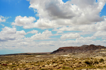 Fototapeta na wymiar Rugged and Desolate Landscape Petrified Forest Arizona