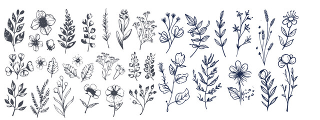 Hand drawn set of floral, plant elements: leaf, branch, vine, flower. - obrazy, fototapety, plakaty