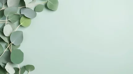Foto op Plexiglas frame made of eucalyptus leaves on green background © Aura