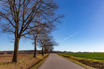 Obraz premium South Bohemian countryside road. Early springtime. Czech Republic.