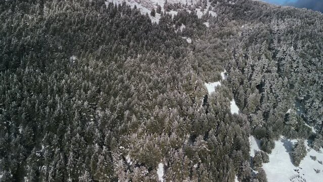 Flying over a forest in Spain