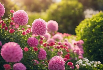 Obraz premium Gardening Concept Garden Flowers and Plants on a Sunny Background stock photoSpringtime Flower Backgrounds Gardening Formal