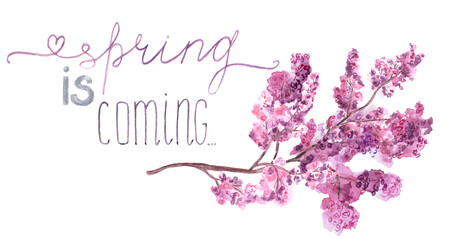 Watercolor lilac flower cherry tree blossoming branch with hand drawn words 