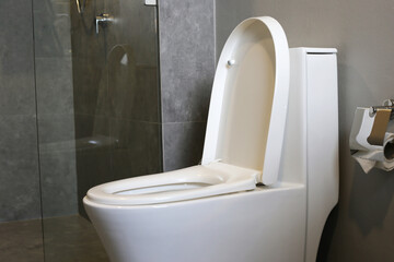 White ceramic toilet bowl in toilet room