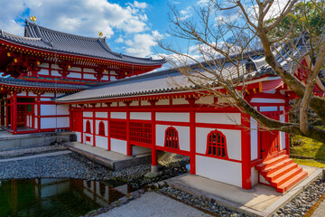 京都 平等院の風景 - obrazy, fototapety, plakaty
