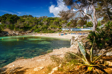 Sandy shores, pine trees and crystal-clear waters at La Font de Sa Cala beach