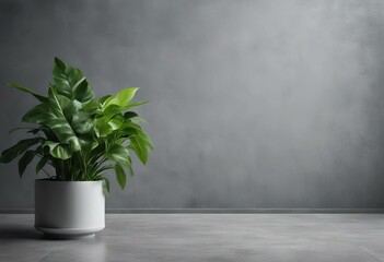 Gray Concrete Floor stock photoWall Building Feature Plant Green Color Backgrounds Green Leaves and Plants Wall