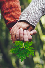 Close up of hands couple holding with love taking green big leaf. Concept of help and nature lover...
