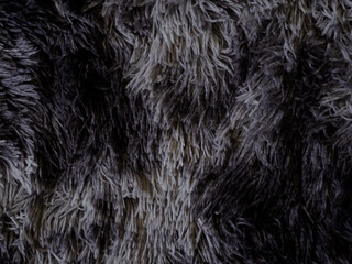 Gray carpet texture for home interior background.