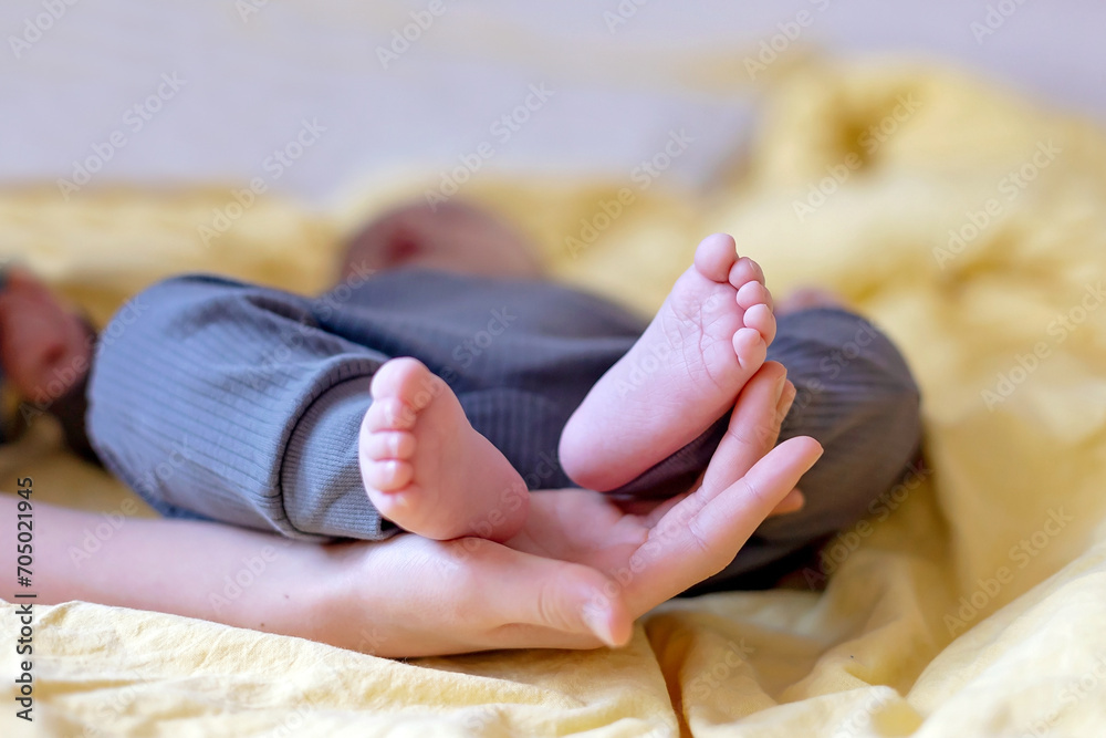 Poster Happy family, newborn baby and older brothers, mom at home on Christmas