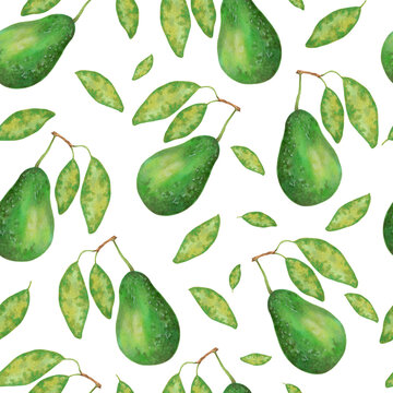 Fruit seamless pattern of avocado with leaves. Botanical texture for eco and healthy food for printing on fabric, paper. Watercolor and marker illustration.Hand drawn art.
