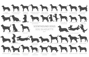 Dog breeds silhouettes with lettering, simple style clipart. Hunting dogs Scentounds, hounds collection