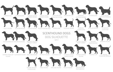 Dog breeds silhouettes with lettering, simple style clipart. Hunting dogs Scentounds, hounds collection