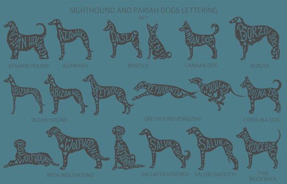 Dog breeds silhouettes with lettering, simple style clipart. Hunting dogs, sighthounds and pariah dogs collection