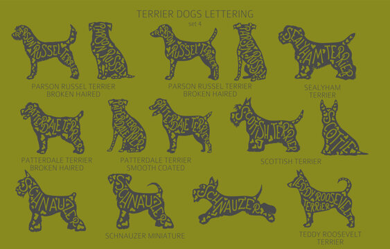 Dog breeds silhouettes with lettering, simple style clipart. Hunting dogs, Terrier dogs collection