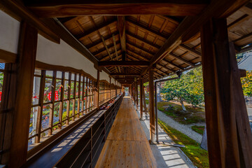 京都 興聖寺の風景