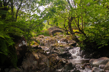 Trees shade the well-known Ashness Bridge, a traditional packhorse bridge over Barrow Beck,...