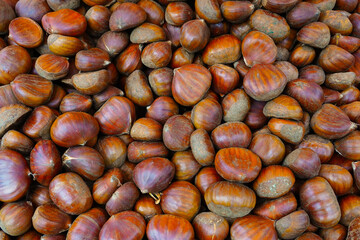 Close-up photo of chestnuts on the market shelf