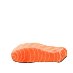 raw salmon steak