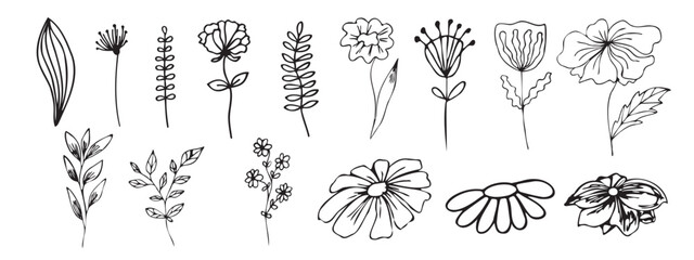 Hand drawn floral elements. Flowers Doodle. Elements for the design of postcards.