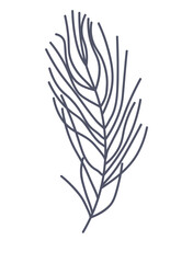 Floral element of a set in aesthetic design. A delicate flower branch takes center stage, creating a stunning contrast against the clean white canvas. Vector illustration.