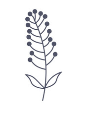 Floral element of a set in aesthetic design. This sleek and minimalist illustration showcases a delicate botanic flower branch in a striking black outline style. Vector illustration.