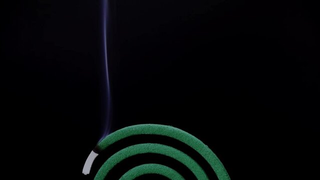 夏の風物詩　蚊取り線香、蚊に刺されない対策、蚊取り線香からの煙