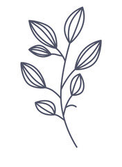 Floral element of a set in aesthetic design. The detailed flower branch captures attention against a white canvas, creating a striking visual statement. Vector illustration.