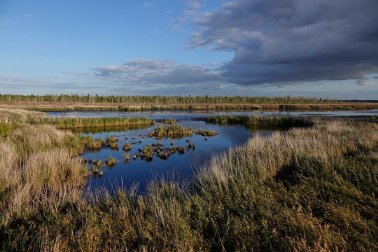 Naturschutzgebiet Anklamer Stadtbruch in der Abendsonne