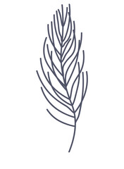 Floral element of a set in aesthetic design. The fine lines and details create a work of art that exudes botanic finesse against a white background. Vector illustration.