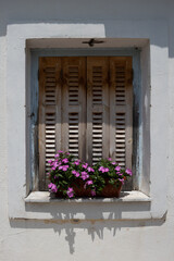 Window with a closed shutter and a pot with blooming plants