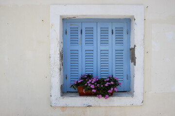 Fototapeta na wymiar Window with a closed shutter and a pot with blooming plants