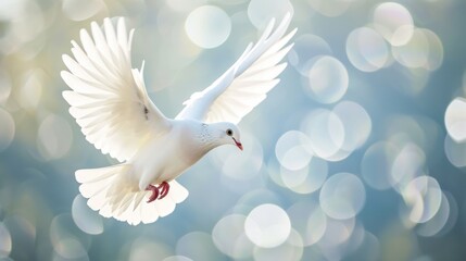 White Bird in Flight, A Serene Image of a Graceful Avian Soaring Through the Sky dove of peace