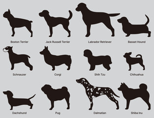 12 dog breed icons
