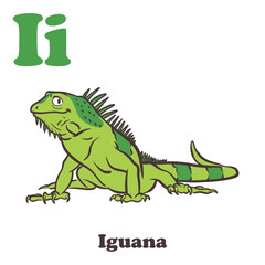 Iguana Alphabet Cartoon Character For Kids