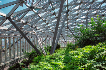 glass roof indoor safety park with green different plants lit by winter sunlight, nobody.