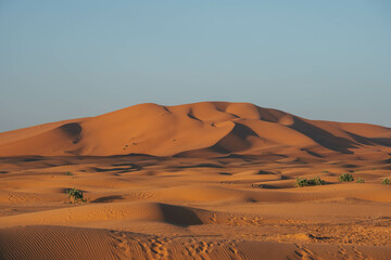 Fototapeta na wymiar minimalist look of big sand dunes in the desert morocco with orange color view 