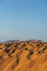 sand dunes in the desert morocco with orange color view and arid vegetation