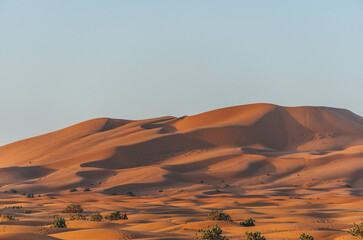 big sand dunes in the desert morocco with orange color view and arid vegetation