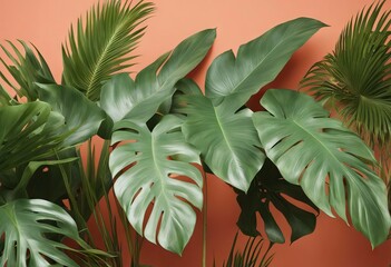 Philodendron tropical leaves on coral color background minimal summer stock photoBackgrounds Summer Tropical Climate Leaf Palm
