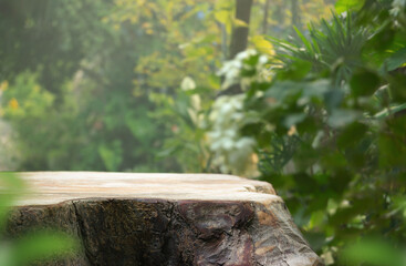Wood tabletop podium floor in outdoors tropical garden forest blurred green leaf plant nature background.Natural product placement pedestal stand display,jungle paradise concept.