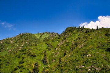 Almaty, Kazakhstan - june 17 2017 : near almaty is the ski and ice skating resort of shymbulak within the zailiyskiy alatau mountain range with even in the summer snow on the tops of the mountains
